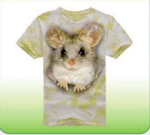 T-Shirts 1 — Rehman Sports catalog page 31